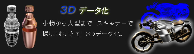 3Df[^@^܂ŃXLi[Ŏ荞ނƂ3D